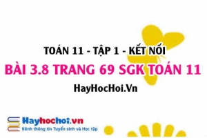 Giải bài 3.8 trang 69 Toán 11 tập 1 SGK Kết nối tri thức